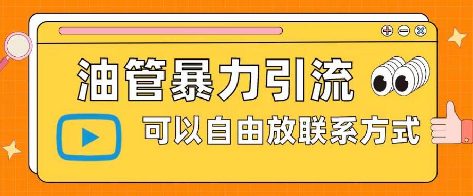 油管暴力引流，可以自由放联系方式【揭秘】-萝卜兔资源站