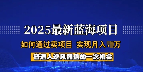 2025蓝海项目，普通人如何通过卖项目，实现月入过W，全过程【揭秘】-萝卜兔资源站