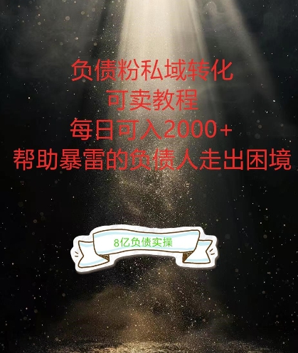 负债粉掘金计划，帮助负债者解决问题，债务规划，债务重组，最好的变现方式【揭秘】-萝卜兔资源站