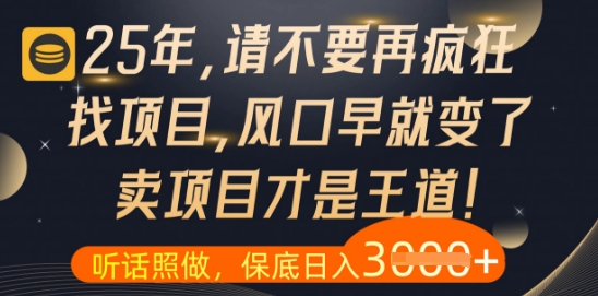 什么？25年你还在疯狂找项目做，醒醒吧，看完这些你全都懂了【揭秘】-萝卜兔资源站