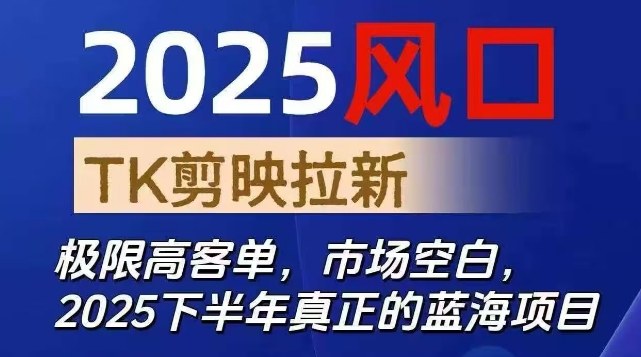 2025风口TK剪映capcut拉新项目，极限高客单，市场空白，2025下半年真正的蓝海项目-萝卜兔资源站