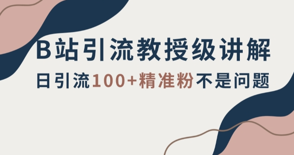B站引流教授级讲解，细节满满，日引流100+精准粉不是问题【揭秘】-萝卜兔资源站