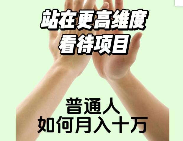 2023最火项目：站在更高维度看待项目，普通人如何月入十万【揭秘】-萝卜兔资源站