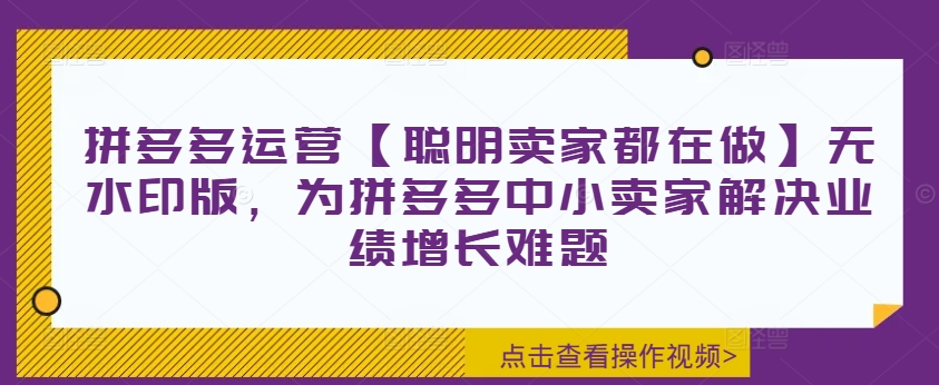 拼多多运营【聪明卖家都在做】无水印版，为拼多多中小卖家解决业绩增长难题-萝卜兔资源站