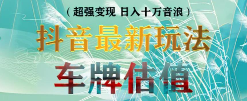 抖音最新无人直播变现直播车牌估值玩法项目，轻松日赚几百+【详细玩法教程】【揭秘】-萝卜兔资源站