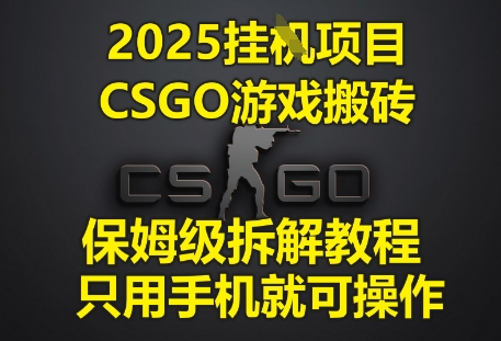 2025挂G项目，CSGO游戏搬砖，保姆级拆解教程，只用手机就可操作【揭秘】-萝卜兔资源站