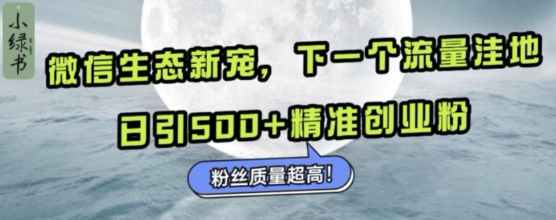 微信生态新宠小绿书：下一个流量洼地，日引500+精准创业粉，粉丝质量超高-萝卜兔资源站