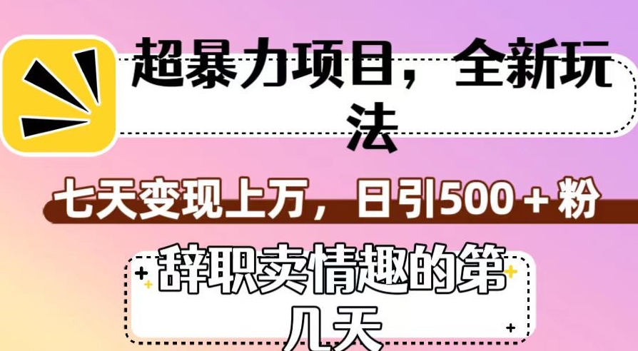 超暴利项目，全新玩法（辞职卖情趣的第几天），七天变现上万，日引500+粉【揭秘】-萝卜兔资源站