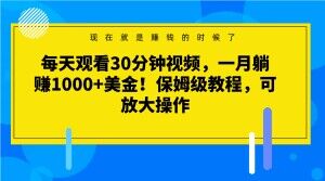 每天观看30分钟视频，一月躺赚1000+美金！保姆级教程，可放大操作【揭秘】-萝卜兔资源站
