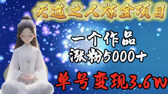 天选之人炼金项目，一个作品涨粉5000+，单号变现3.6w【揭秘】-萝卜兔资源站