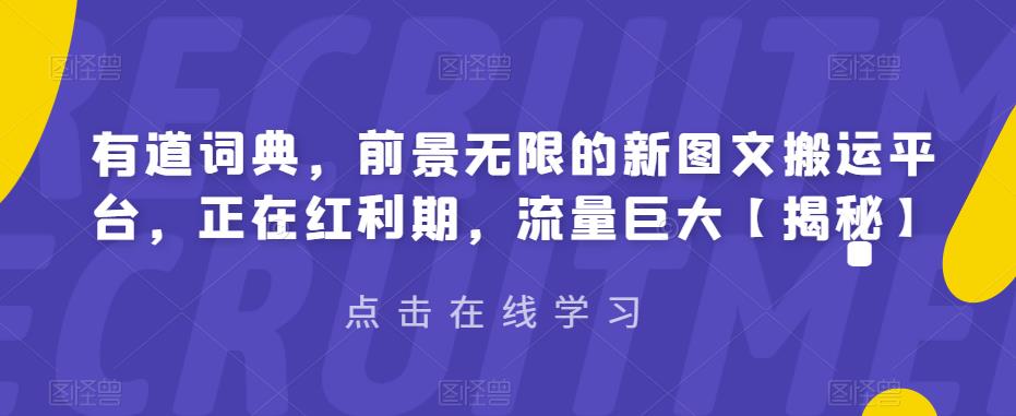 有道词典，前景无限的新图文搬运平台，正在红利期，流量巨大【揭秘】-萝卜兔资源站