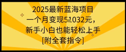 2025最新蓝海项目一个月变现1w+新手小白也能轻松上手【附全套指令】-萝卜兔资源站