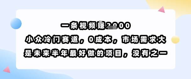 一条视频挣1k，小众冷门赛道，0成本，市场需求大，是未来半年最好做的项目，没有之一-萝卜兔资源站