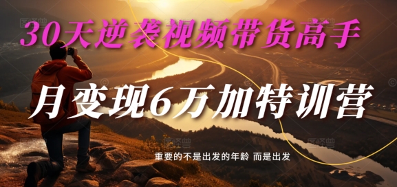 30天逆袭视频带货高手，单月变现6万加特训营-麦子甜-萝卜兔资源站