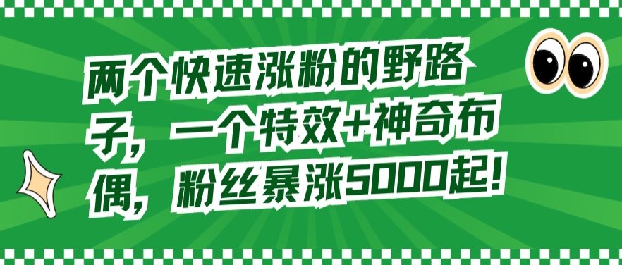 两个快速涨粉的野路子，一个特效+神奇布偶，粉丝暴涨5000起【揭秘】-萝卜兔资源站