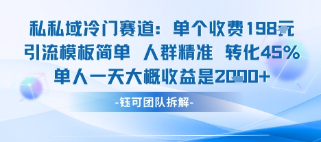 私域冷门赛道单个收费198米引流模板简单人群精准 45%的转化率单人一天大概收益多张-萝卜兔资源站