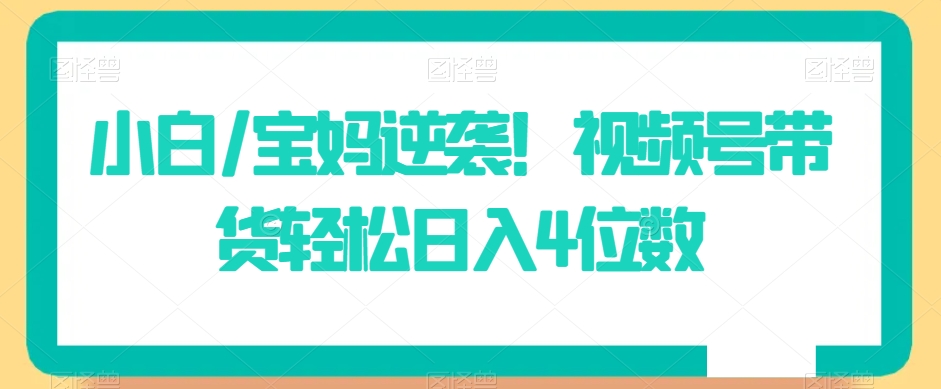 小白/宝妈逆袭！视频号带货轻松日入4位数【揭秘】-萝卜兔资源站