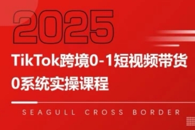 TikTok跨境0-1短视频带货，系统拆解TikTok跨境带货全链路，实现跨境可持续盈利-萝卜兔资源站