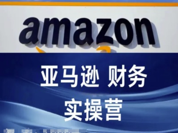 亚马逊财务核算实操营-亚马逊跨境电商教程-萝卜兔资源站