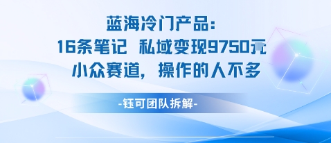 蓝海项目:16条笔记私域变现9750米小众赛道操作的人不多-萝卜兔资源站