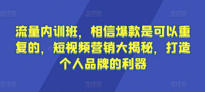 流量内训班，相信爆款是可以重复的，短视频营销大揭秘，打造个人品牌的利器-萝卜兔资源站