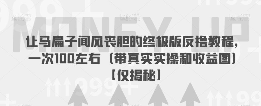 让马扁子闻风丧胆的终极版反撸教程，一次100左右（带真实实操和收益图）【仅揭秘】-萝卜兔资源站