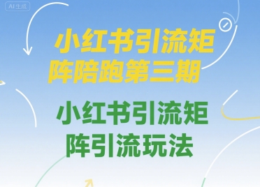 小红书引流矩阵陪跑第三期，小红书引流矩阵引流玩法-萝卜兔资源站