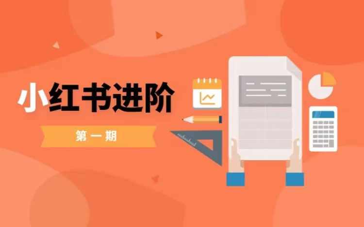 小红书进阶篇，零基础小白实战课，普通人变现的课程-萝卜兔资源站
