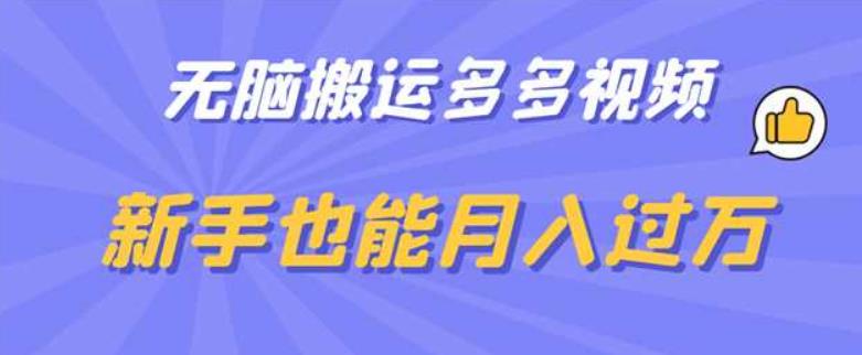 无脑搬运多多视频，新手也能月入过万【揭秘】-萝卜兔资源站