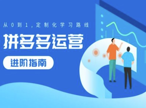 拼多多运营进阶指南，从0到1定制化学习路线-萝卜兔资源站