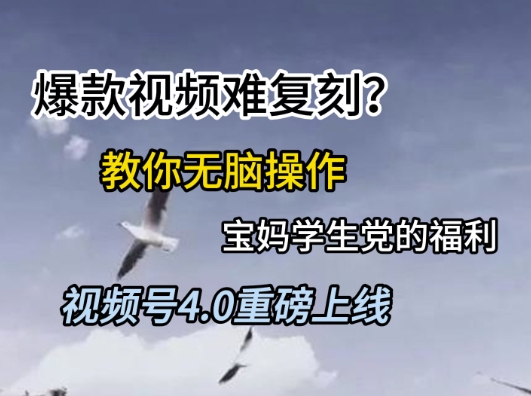 视频号4.0重磅上线，爆款视频难复刻？教你无脑操作宝妈学生党的福利【揭秘】-萝卜兔资源站
