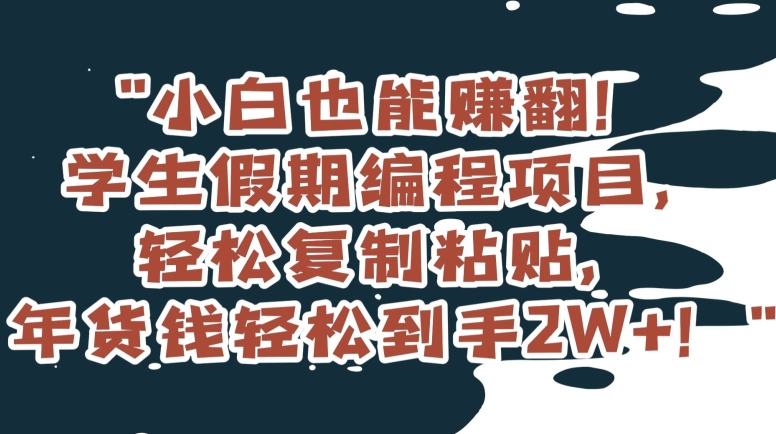 小白也能赚翻！学生假期编程项目，轻松复制粘贴，年货钱轻松到手2W+【揭秘】-萝卜兔资源站