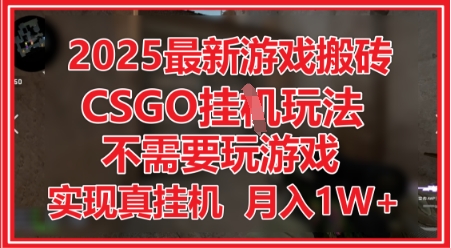 2025最新游戏搬砖，CSGO挂G，不需要玩游戏，实现真挂G，月入1W+【揭秘】-萝卜兔资源站