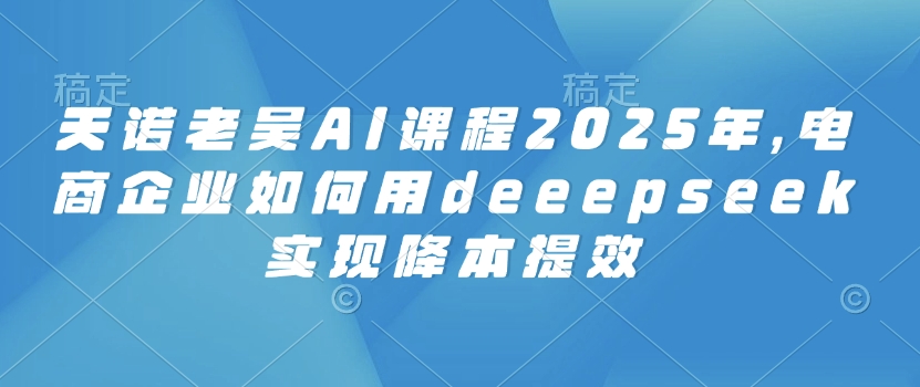天诺老吴AI课程2025年，电商企业如何用deeepseek实现降本提效-萝卜兔资源站