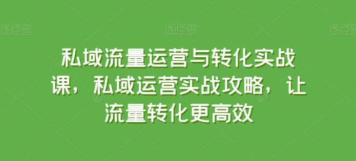 私域流量运营与转化实战课，私域运营实战攻略，让流量转化更高效-萝卜兔资源站
