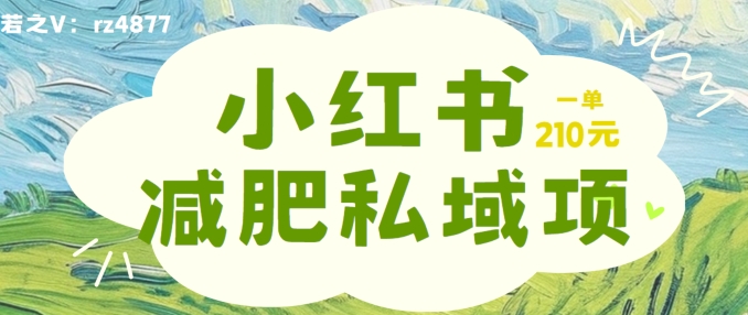 小红书减肥粉，私域变现项目，一单就达210元，小白也能轻松上手【揭秘】-萝卜兔资源站