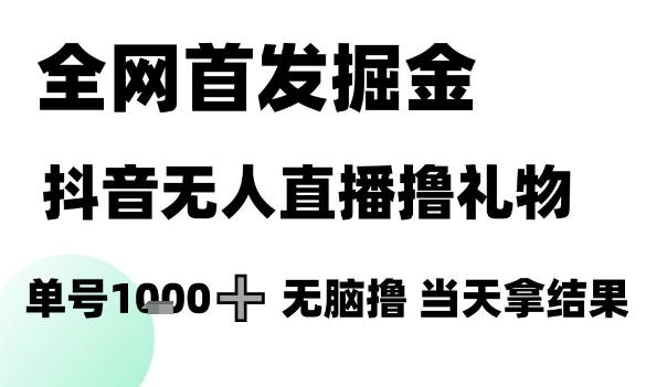 全网首发掘金抖音无人直播撸礼物，单号1k +无脑撸，当天拿结果【揭秘】-萝卜兔资源站
