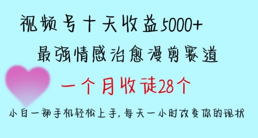 十天收益5000+，多平台捞金，视频号情感治愈漫剪，一个月收徒28个，小白一部手机轻松上手【揭秘】-萝卜兔资源站