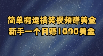 简单搬运搞笑视频挣美金，新手一个月入1k美金-萝卜兔资源站