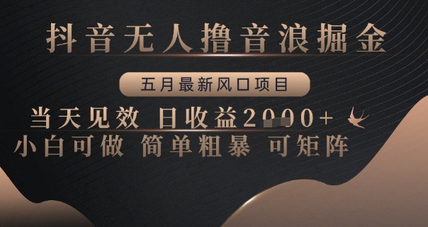 抖音无人撸音浪掘金，五月最新风口项目，当天见效，日收益多张，小白可做简单粗暴可矩阵【揭秘】-萝卜兔资源站