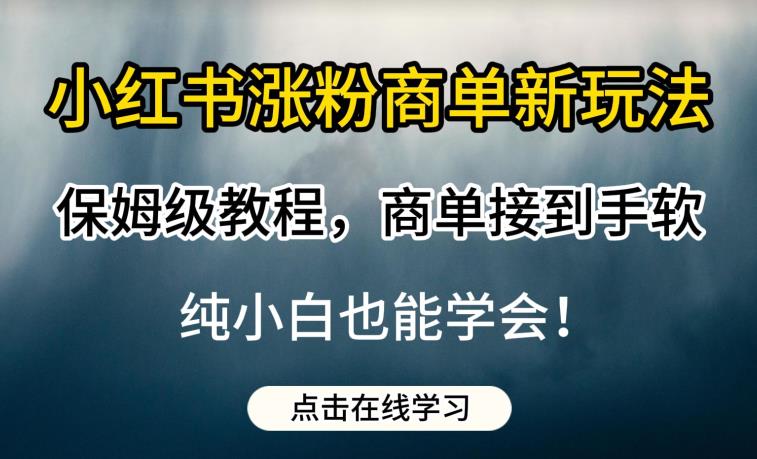 小红书涨粉商单新玩法，保姆级教程，商单接到手软，纯小白也能学会【揭秘】-萝卜兔资源站