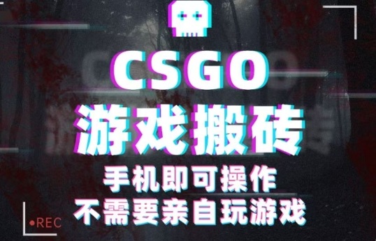 CSGO游戏挂G捡漏，单日扫货5张+，年底小高峰上车可吃肉，手机即可操作，兼职副业创业网创【揭秘】-萝卜兔资源站