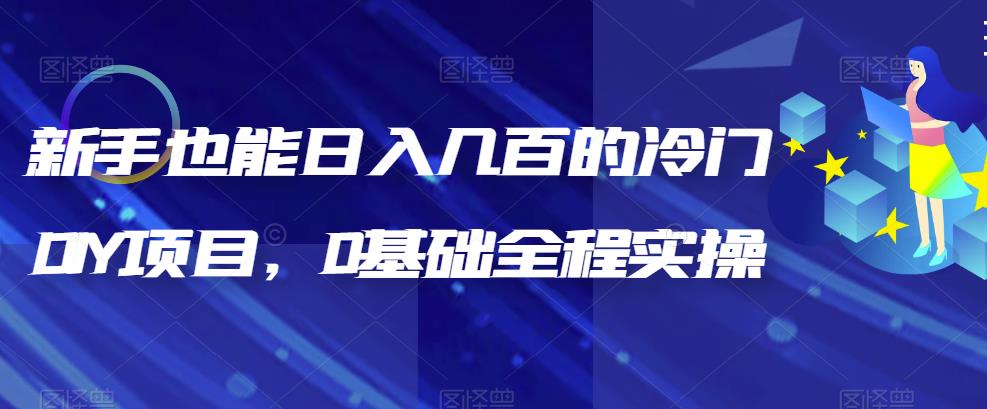 新手也能日入几百的冷门DIY项目，0基础全程实操【揭秘】-萝卜兔资源站