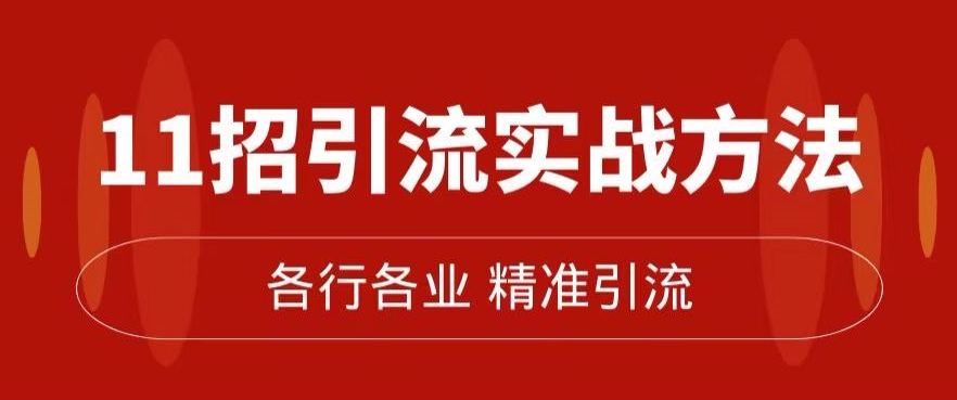 精准引流术：11招引流实战方法，让你私域流量加到爆（11节课完整)-萝卜兔资源站