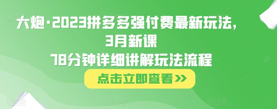 大炮·2023拼多多强付费最新玩法，3月新课​78分钟详细讲解玩法流程【揭秘】-萝卜兔资源站